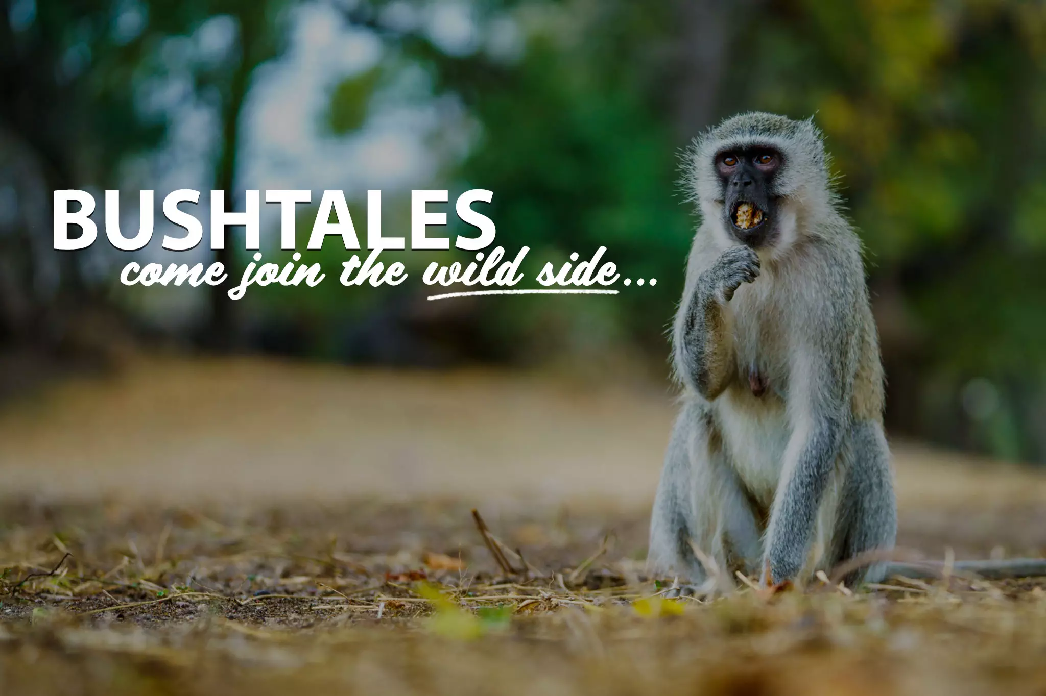 Bushbaby-Adventures-BushTales-Page-Tablet