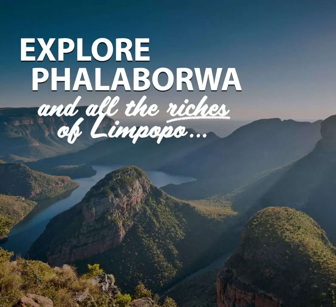 Bushbaby-Adventures-Excursions-Page-Mobile