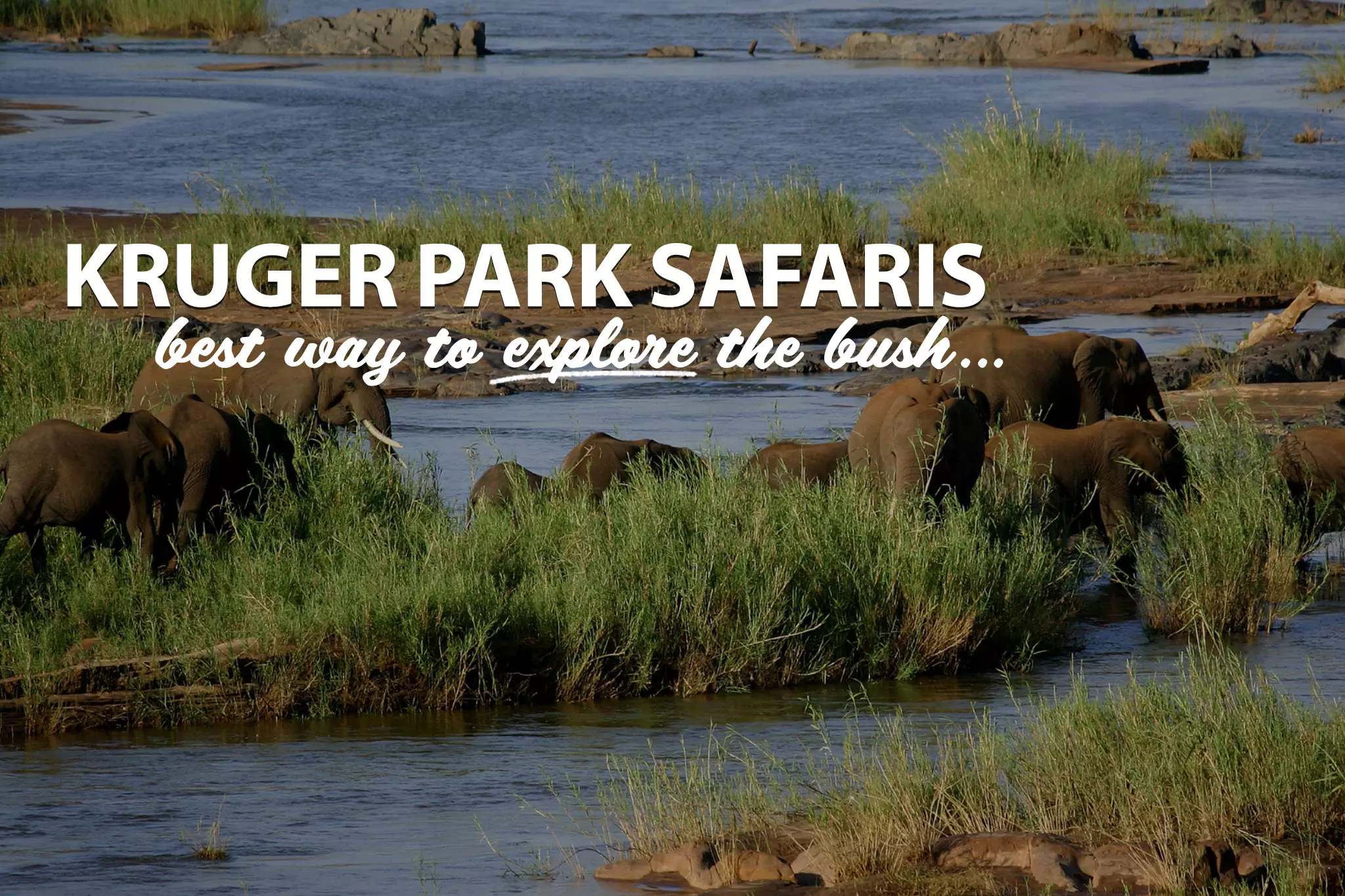 Bushbaby-Adventures-Kruger-Safaris-Page-Tablet