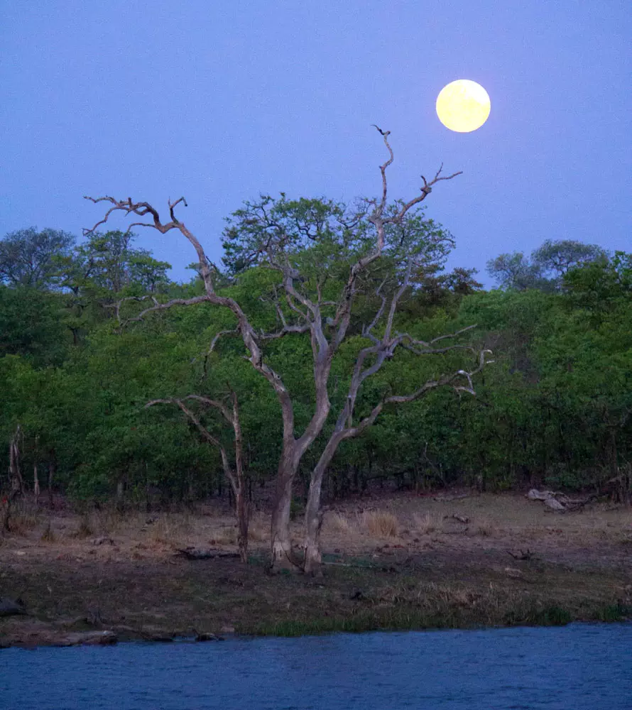 Kruger-National-Park-Limpopo-Overnight-Stay