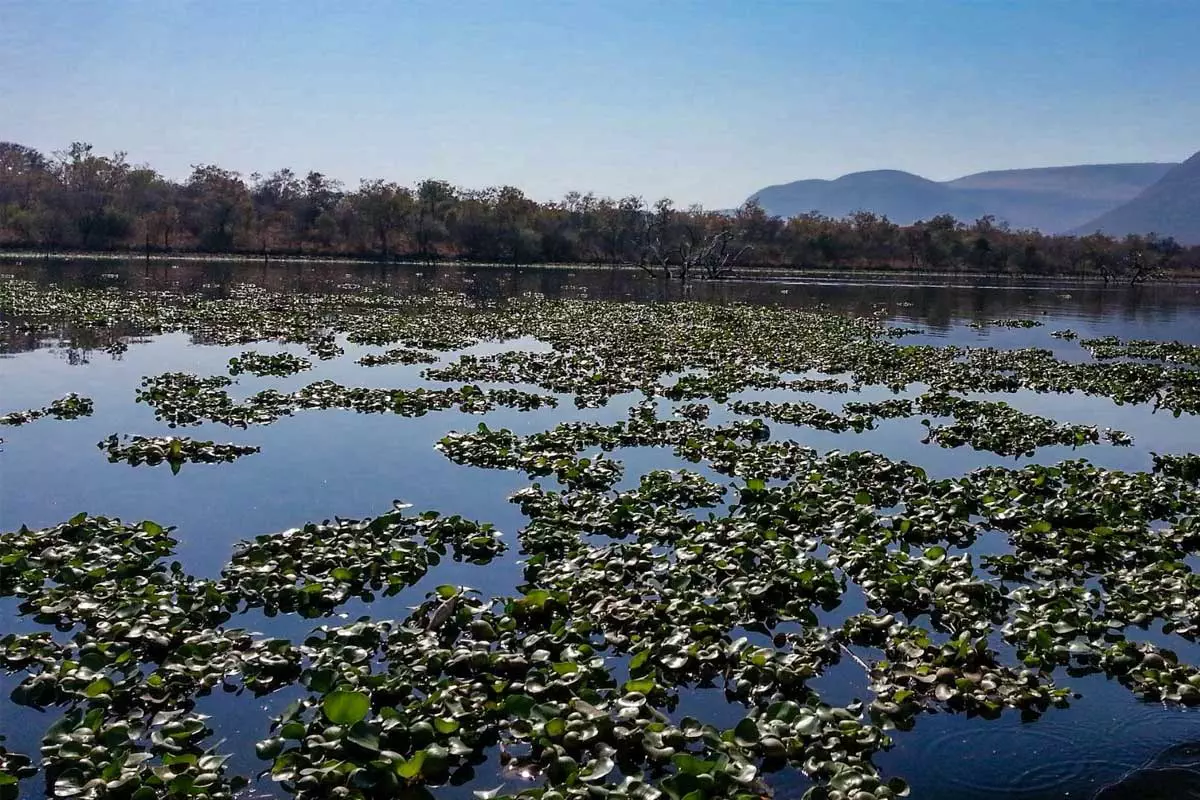 ba-olifants-river-feature1-v1