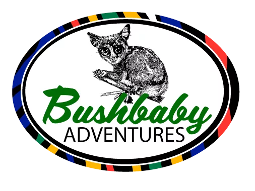 Bushbaby Adventures